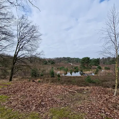 Verhuur - Heuvel 35 Dom wakacyjny Simpelveld