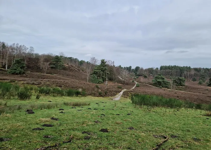 Vakantiehuis Verhuur - Heuvel 35