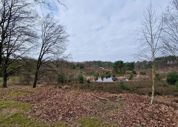 Verhuur - Heuvel 35 Vakantiehuis Simpelveld