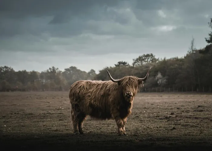 Verhuur - Heuvel 35 Simpelveld